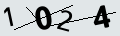 verifycode